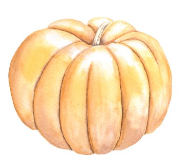 suluboya portakal kabağı beyaz balkabağı