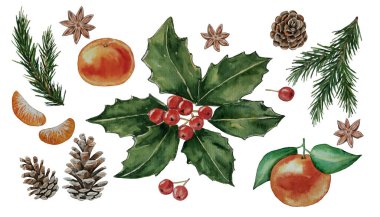 Holly Noel çiçeği, böğürtlen, mandalina, koni, köknar dalı, yıldız anason, bayram sembolleri, dekor, öznitelik, kutlama yemeği, parti, toplantı, davetiye, kartpostal, beyaz arka plan, suluboya
