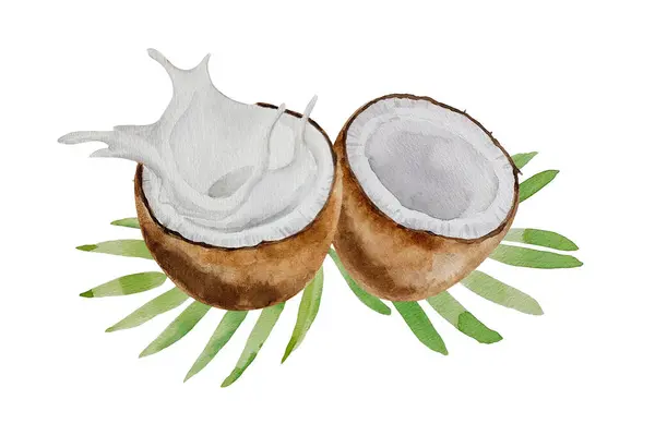 Watercolor Coconut Composition Collages Coconuts Halves Parts Palm Leaves Hand — Stock Photo, Image