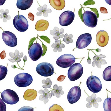 Eriklerin, eriklerin ve çiçeklerin kusursuz deseni, beyaz arka planda izole edilmiş, suluboya resimleme, kart, davetiye, tasarım, arka plan, kozmetik, ambalaj kağıdı, yapıştırma defteri,