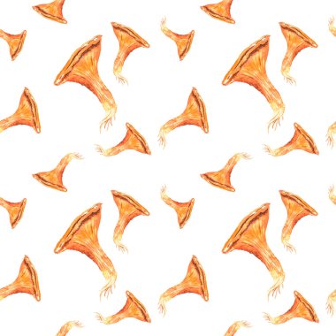 Ormandaki mantarların suluboya desenleri. Beyaz arkaplanda izole edilmiş, kart, davetiye, tasarım, arkaplan