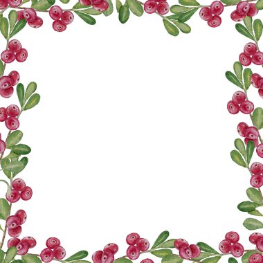 Kızıllığın suluboya çerçevesi, olgun böğürtlen hasadı, beyaz arka planda izole edilmiş, davetiye tasarımı için. 