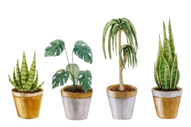 Kapalı alandaki çiçeklerin suluboya çizimleri. Tasarımın için.