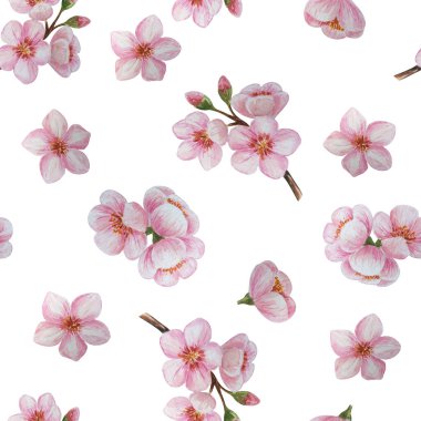 Badem çiçekleriyle suluboya kusursuz desen. Tasarımın için.