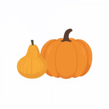 Pumpkins, Butternut Squash ve Su Kabaklarıyla Canlı Sonbahar Sahnesi