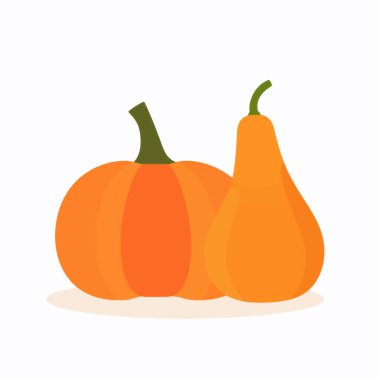 Pumpkins, Butternut Squash ve Su Kabaklarıyla Canlı Sonbahar Sahnesi