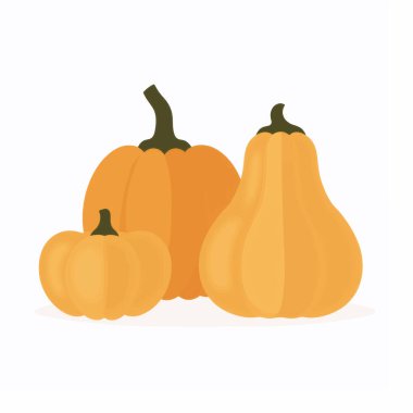 Pumpkins, Butternut Squash ve Su Kabaklarıyla Canlı Sonbahar Sahnesi