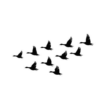  Sonbaharda güneye uçan kaz sürüsü.