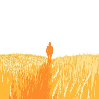 Ayçiçeği alan vektöründe yürüyen kişi