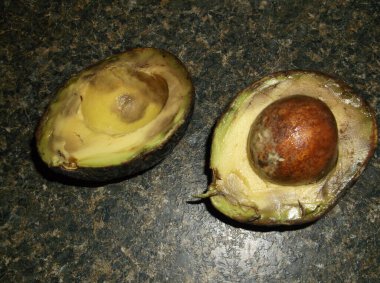 Bugün kullanılması gereken avokadolar.