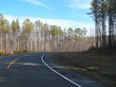 Yukarıdaki mavi gökyüzü ve kırsaldaki asfalt yolun yanındaki yeşil çamlar..