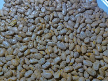 Pinto fasulyesi, yakın çekim.