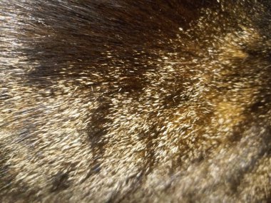 Siyah ve beyaz desenli soyut arkaplan