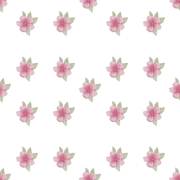   Pembe çiçekli kusursuz desen. Pembe çiçek desenli kiraz çiçeği. Çiçekli kompozisyon defteri kapağı.
