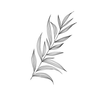 Beyaz arkaplanda siyah çizgiler bırakır. Palms vektör illüstrasyonu.