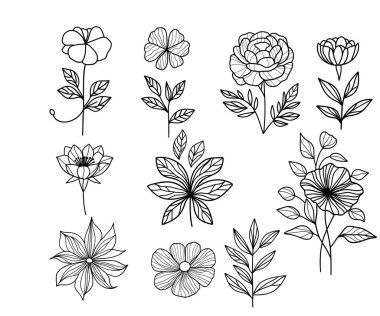 Çiçek ve yaprak vektör dizaynı