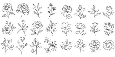 Çiçek çizen vektör çizgileri. El çizimi botanik çizimi. Bir sıra sanat çiçeğinin vektör seti. Sürekli tek sıra halinde güller, yapraklar, dallar. Çiçek logoları. Basit bir eskiz, siyah beyaz. Çiçek simgesi ve logo olarak kullan.