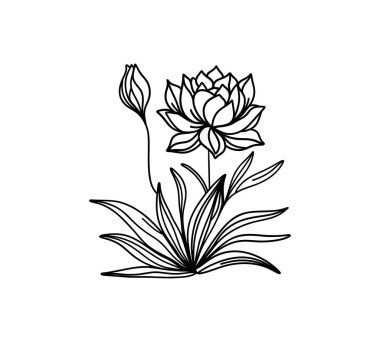 Yapraklı çiçek, dekoratif ikon vektör illüstrasyon tasarımı. Siyah beyaz zambak.
