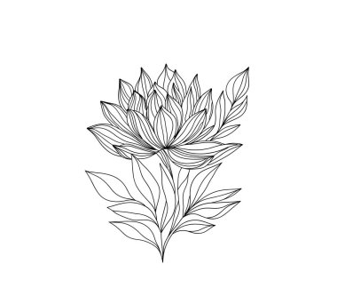 Lotus çiçeği çizgisi ikonu. Çiçeğin çizimi. El çizimi siyah nilüfer ve yapraklar. 