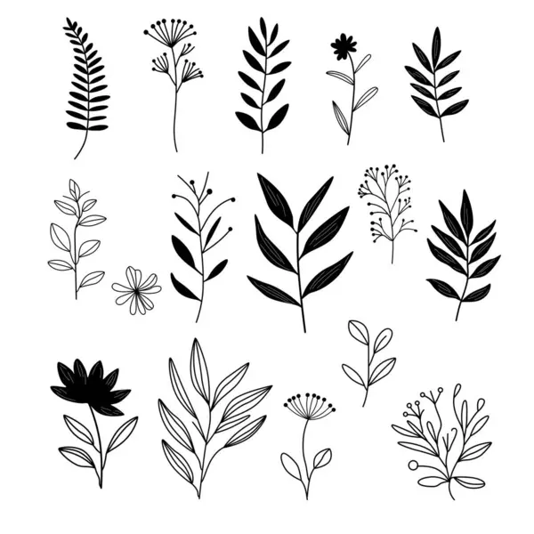 collection of black flowers. set of silhouettes of leaves.  Hand drawn floral elements. Vector set botanical illustration. 