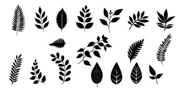 Yaprak seti. Siyah ve beyaz yaprak siluetleri farklı botanik tasarımlar sergiliyor, doğadan esinlenilmiş vektör çizimleri ve dekoratif projeler için ideal