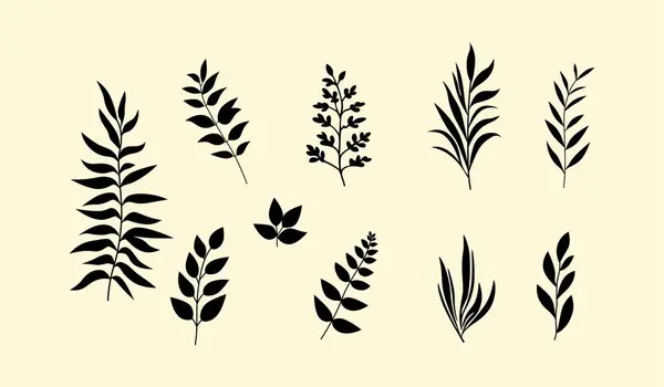 stock vector Vector collections of various leaf silhouettes on a light background. elements. The black silhouettes with the beige background, making it perfect for logos, patterns, greeting cards, wallpapers. 