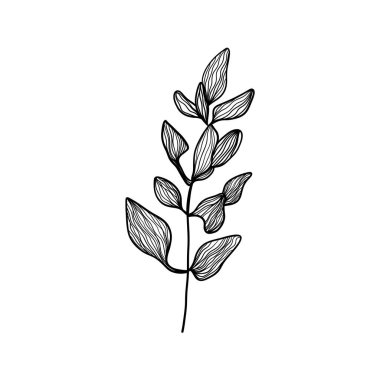 Şeffaf arkaplanda yaprakları olan bir bitkinin basit ve zarif siyah çizimi