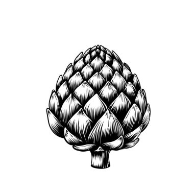 Bir enginarın kabartma tarzında siyah-beyaz çizimi. Çizgi sanat enginarı