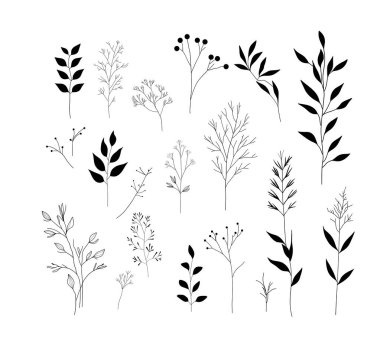 Çeşitli narin yapraklar ve bitki filizlerinin yer aldığı minimal siyah beyaz botanik çizim seti. Tasarımlar, desenler ve doğal temalı projeler için mükemmel