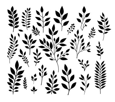 El çizimi çiçek elementleri. Vektör seti botanik illüstrasyon, minimalist bitki sembolleri. Siyah siluet dalları koleksiyonu. Etiketler için vektör illüstrasyonuName