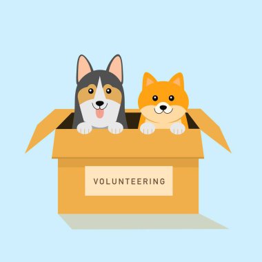 Açık mavi arkaplan ile gönüllü olan bir kutuda çizgi film köpekleri..