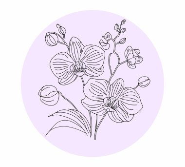 Pastel mor arka planda minimalist orkide çizgisi, dekor, marka ya da dövme tasarımları için mükemmel.