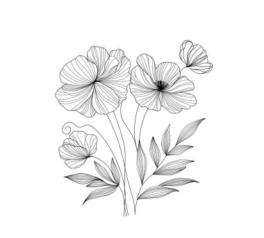 Hassas gelincik çiçekleri ve yaprakların zarif çizgileri. Minimalist, botanik tarzda. Duvar sanatı, baskılar, tekstil tasarımı ve çeşitli doğa projeleri için mükemmel.. 