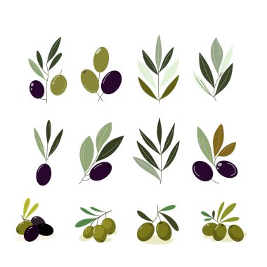vektör yeşil ve koyu zeytinli zeytin dalları oluşturdu. Akdeniz, botanik ve yemek temalı tasarımlar için. Minimalist modern zeytin çizimi.