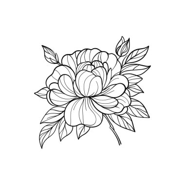 Vektör eli çizilmiş çiçek. Bitkisel illüstrasyon. Yapraklı şakayık çiçeğinin çizgi çizimi