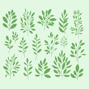 Yeşil arka plandaki yaprakların vektör çizimi. Bitki elementli botanik. Yeşil dallar dizildi
