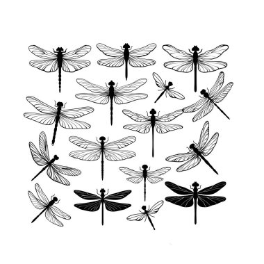 Farklı yusufçuklar. Vektör çizimi. Beyaz arka planda siyah çizgili yusufçuk çizimleri. Minimalist ve hassas tasarım. Logo için, simge tasarımı 