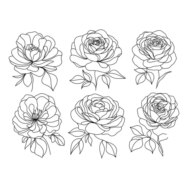 Gül kümesi. vektör çizim