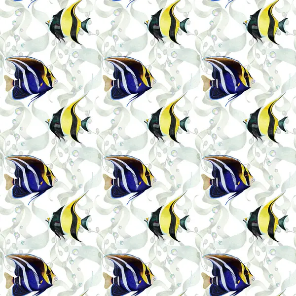 Tropikal balık ve deniz bitkilerinin çok yönlü ve pürüzsüz deseni