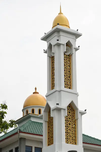 Bella Cupola Della Moschea Minareto — Foto Stock
