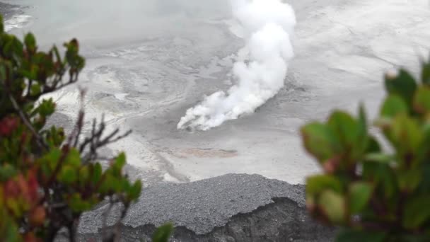 Cráter Humeante Del Monte Tangkuban Perahu — Vídeo de stock