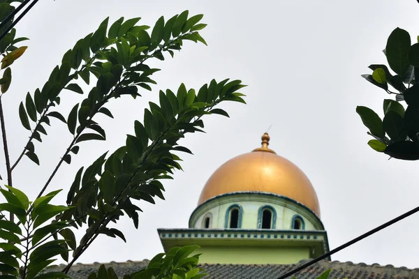 Green Themed Mosque Golden Cupola Top — Stock Photo, Image