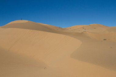 Dunes in the Great Desert of Altar, Sonora, Mexico.