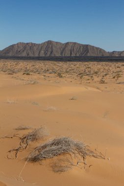 The El Pinacate y Gran Desierto de Altar Biosphere Reserve, also known as El Pinacate.