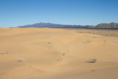 Landscape of Pinacate Volcano from the desert dunes. clipart