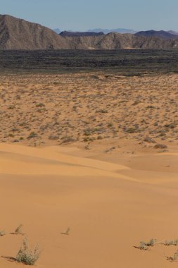 The El Pinacate y Gran Desierto de Altar Biosphere Reserve, also known as El Pinacate.