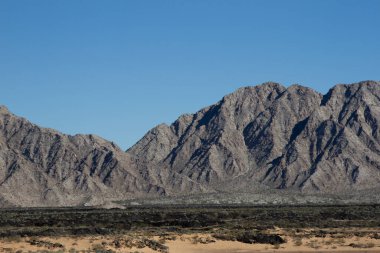 El Pinacate y Gran Desierto de Altar Biyosfer Reserve (El Pinacate olarak da bilinir), Meksika Federal Hükümeti tarafından yönetilen bir biyosfer rezervidir.