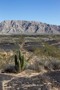 The El Pinacate y Gran Desierto de Altar Biosphere Reserve, also known as El Pinacate.