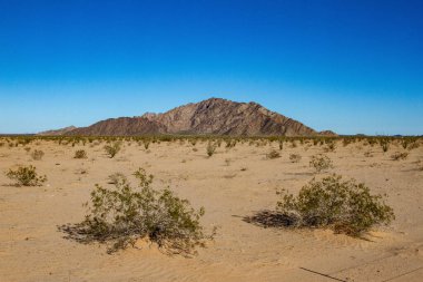 Landscape of the Pinacate National Park and the Altar Desert. Sonora, Mexico. clipart