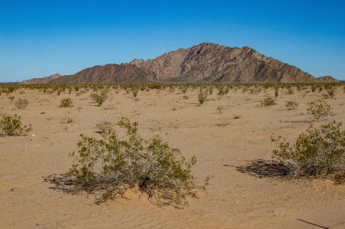 Landscape of the Pinacate volcano and the Altar desert. Sonora, Mexico.